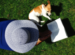 How to Keep Dogs Safe During a Heat Wave